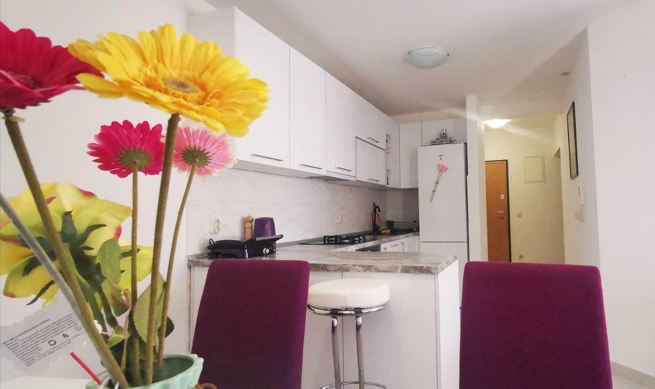 Apartment Dalmatia マカルスカ エクステリア 写真